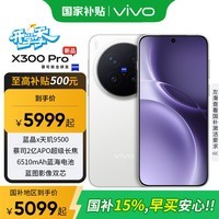 vivo X300 Pro 新品5G手机 国家补贴 卫星通信 蔡司2亿APO超级长焦 简单白 16GB+512GB 卫星通信版【全国补贴】