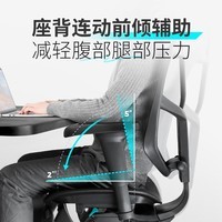 Ergonor保友金卓b2/金卓雄鹰 人体工学椅  电脑椅家用办公椅子游戏电竞椅 【金卓雄鹰】黑色网+躺舒宝 久坐不易累
