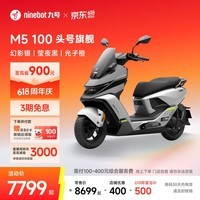 九号(Ninebot)电动摩托车M5 100 高阶电摩革新者 铅酸电摩【门店自提】 幻影银/莹夜黑/光子橙