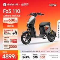 九号（Ninebot）【新国标电自新品】九号电动Fz3 110智能长续航电动自行车【门店自提】 到门店选颜色