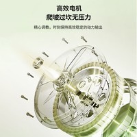 爱玛(AIMA)【门店自提】小金豆新国标可上牌大电池时尚成人小型电动自行车 到店选色提车