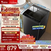 小天鹅(LittleSwan)【价保618】波轮洗衣机小型全自动家用 10KG TB10V28T 一级能效 以旧换新 京东自营 宿舍租房神器