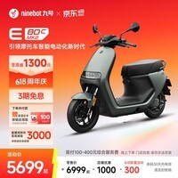 九号（Ninebot）智能电动摩托车E80c MK2全速真续航铅酸【门店自提】 到门店选颜色