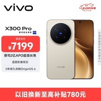 vivo X300 Pro 16GB+1TB 旷野棕 蔡司2亿APO超级长焦 蓝图影像双芯 5年持久流畅OriginOS 6 AI手机