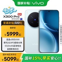 vivo X300 Pro 新品5G手机 国家补贴 卫星通信 蔡司2亿APO超级长焦 自在蓝 16GB+512GB 卫星通信版【全国补贴】