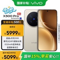 vivo X300 Pro 新品5G手机 国家补贴 卫星通信 蔡司2亿APO超级长焦 旷野棕 16GB+512GB 卫星通信版【全国补贴】