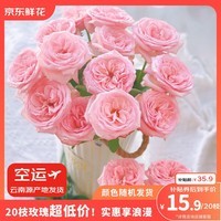 京东鲜花玫瑰10枝送10枝共20枝随机色鲜花花束鲜切花节日礼物源头直发