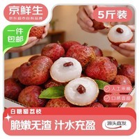 京鲜生广东白糖罂荔枝 净重5斤 单果16g+新鲜水果 源头直发 包邮