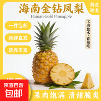 正宗海南金钻凤梨香甜多汁新鲜水果 京东快递 净重4.5-5斤 单果650g+