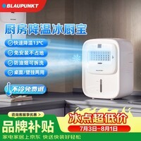 蓝宝（BLAUPUNKT）冰雾扇厨房电风扇家用厨房降温神器专用小型水冷空调扇加湿风扇冷风机无冰晶节能低噪可拆洗壁挂X6
