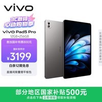 vivo Pad5 Pro 12GB+256GB 寒星灰 国家补贴 蓝晶×天玑9400 13英寸原彩护眼屏 12050mAh 平板电脑