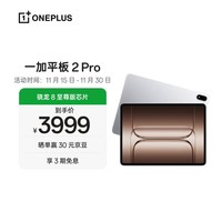 一加平板 2 Pro 13.2英寸平板电脑骁龙8至尊版芯片16GB+512GB 冰川银 游戏办公学生