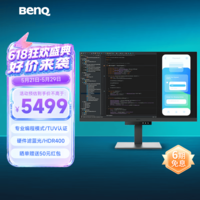 明基(BenQ)RD320U 31.5英寸4K 专业编程 90WType-C供电 HDR400 护眼硬件滤蓝光程序员编码显示屏