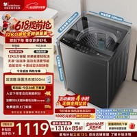 小天鹅（LittleSwan）【价低全网直播间】波轮洗衣机全自动家用 12KG大容量 直驱变频 TB12-1809DT 一级能效 京东自营