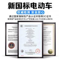 普莱德新国标折叠电动自行车超长续航轻骑电动车铝合金代驾车锂电池助力男女成人电瓶车代步电单车 标准版-汽车级电芯15A-助力200KM