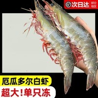 东上御品 厄瓜多尔白虾 盐冻超大号3斤 南美白虾青虾 生鲜 虾类 海鲜 3斤(净重)  【单只冻】16-17cm