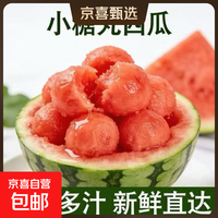 【超甜】小糖丸西瓜正宗2k 薄皮小西瓜新鲜水果现摘现发包邮 净果1-1.5斤(1-2粒)