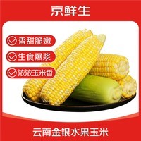 京鲜生云南金银水果甜玉米 8根 单果320g+ 新鲜嫩苞米源头直发