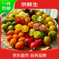 京鲜生 山东多彩七色小番茄净重3斤 颜色随机圣女果水果千禧源头直发