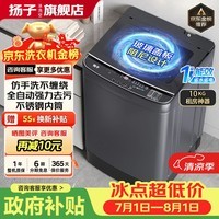 扬子【政府补贴15%】洗衣机全自动一级能效 家用大容量洗烘一体波轮 以旧换新出租房宿舍神器 10KG租房神器【一级能效+蓝光抑菌风干】 波轮
