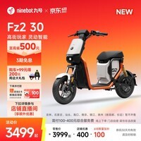 九号（Ninebot）【新国标电自新品】九号电动Fz2 30电动自行车9号智能电动车【门店自提】 到门店自选颜色