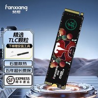 梵想(FANXIANG)SSD固态硬盘 M.2接口(NVMe协议) S500系列 精选TLC颗粒 PC台式机笔记本电脑 存储配件 S500 TLC颗粒 128G