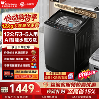 小天鹅（LittleSwan）波轮洗衣机全自动家用 12KG大容量 水魔方防缠绕 直驱变频 以旧换新 京东自营