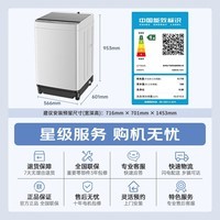 松下（Panasonic）除螨洗波轮洗衣机全自动家用10公斤强力去污快速洗毛毯洗 智能洗自检节水节电耐脏桶 以旧换新补贴 除螨洗T2F1【一级能效】 波轮