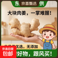 【东东农场专供】山东老姜大块正宗老姜特级新鲜无添加坐月大肉姜 【东东农场专供】带箱250g
