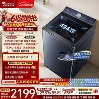 小天鹅(LittleSwan)【价保618】小乌梅5.0 波轮洗衣机全自动家用 12KG大容量纯平 超微净泡 TB12K60 以旧换新京东自营