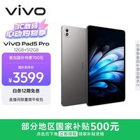 vivo Pad5 Pro 12GB+512GB 寒星灰 国家补贴 蓝晶×天玑9400 13英寸原彩护眼屏 12050mAh 平板电脑