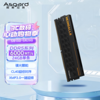 阿斯加特（Asgard）24GB DDR5 6000 台式机内存条 海姆达尔 马甲条 镁光颗粒 CL40 黑厚甲 AI电脑配件升级