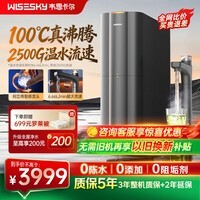 WISESKY厨下加热净水器黑积木hot等效2500G温水大流量家用大通量热水净水器净热一体厨下净水器