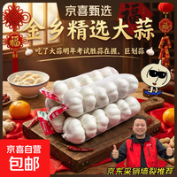 山东金乡蒜大蒜出口标准精选大蒜头蔬菜调料单果5cm 出口标准网兜装箱 净重455g 5-5.5cm特大