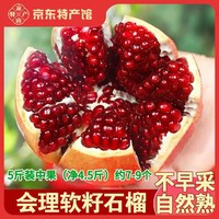 异果恋会理软籽石榴 突尼斯软籽石榴产地直发大凉山新鲜水果甜石榴果王 性价比主推【中果250g+】5斤装（净4.5斤约7-9个） 【彩箱装 I 粒粒饱满】