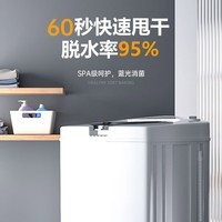 志高脱水机单甩干脱水机干桶甩干机小型迷你家用甩干桶出租房宿舍大容量单杠脱水桶烘干一体机以旧换新 12公斤【不锈钢桶】三年免费换新售后无忧