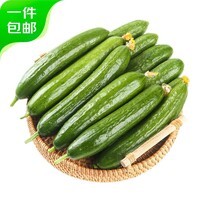 京鲜生 山东荷兰水果黄瓜 净4.5斤 单果70g+ 健康轻食早餐蔬菜 源头直发