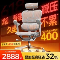 Ergonor保友金豪E2/金豪E2 Pro 高端人体工学椅 电脑椅办公椅家用电竞椅 【金豪E2 Pro】银白网 整椅发货 送货上门