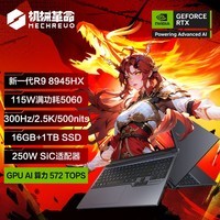 机械革命蛟龙16Pro 2025 16英寸游戏电竞笔记本电脑(R9-8945HX 16G 1T RTX5060 300HZ 2.5K 灰)