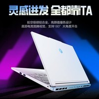 机械革命【国家补贴】极光X潮玩版 酷睿i7HX 游戏本笔记本电脑(i7-14650HX 16G 1T RTX5060 300Hz 白)