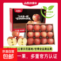 山东红富士苹果 脆甜多汁 酥脆诱人 带箱10斤(中果75mm+ 净重8.5斤)