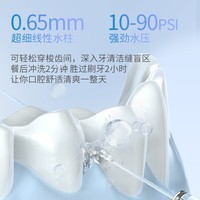 博皓（prooral）大水箱版电动冲牙器便携式洗牙器家用牙齿清洁器水牙线冲洗器口腔清理器剔牙神器洁牙器正畸冲牙器 米白色| 2支喷嘴