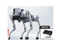 宇树（Unitree）【春晚合作品牌】Go2 X 开发版 机器狗 AI大模型 四足机器人 具身智能  仿生陪伴机器人 教育科研