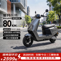 爱玛电动摩托车 爱玛辉腾电动车自营京东夏季电瓶车长续航爱玛电动车官方旗舰店京东电动摩托车极地灰