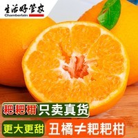 生活＆好管家 四川春见耙耙柑新鲜水果应季橘子现摘孕妇水果整箱桔子橘子 优选级市场果 8.5-9斤【单果80-90mm】净重8斤