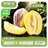京鲜生 甘肃民勤沙漠人参果 净重4.5斤 单果150g+ 生鲜水果源头直发包邮