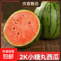 【甜蜜爆汁】2k小糖丸西瓜早春正宗手撕薄皮西瓜应季新鲜水果 净果1-1.5斤装（1-2粒）