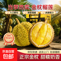 6月4日前发货泰国金枕榴莲巴掌榴莲新鲜水果生鲜 8-10斤(2-4个装,大小随机) 金枕榴莲