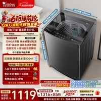小天鹅(LittleSwan)【价低全网直播间】波轮洗衣机全自动家用 12KG大容量 直驱变频 TB12-1809DT 一级能效 京东自营