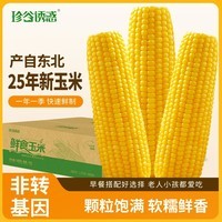 珍谷诱惑25年东北糯玉米新玉米黄糯玉米棒早餐玉米粗粮代餐零食 黄糯玉米12支【单支180g以上】